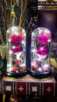 Image 1 of 👑The Armored Kingdom Ever lasting Roses