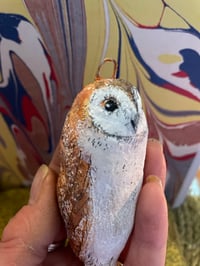 Image 2 of Samson the barn owl