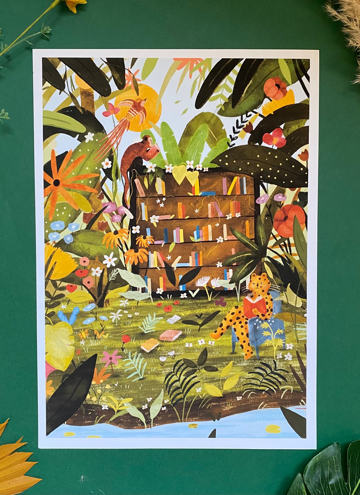 La librairie de la jungle 