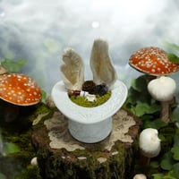 Mad Hatter 