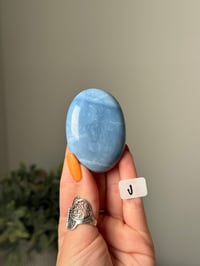 Image 10 of BLUE OPAL PALM STONES