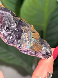 Image 4 of NATURAL RAINBOW IRIDESCENT CUBIC FLUORITE -CHINA- D