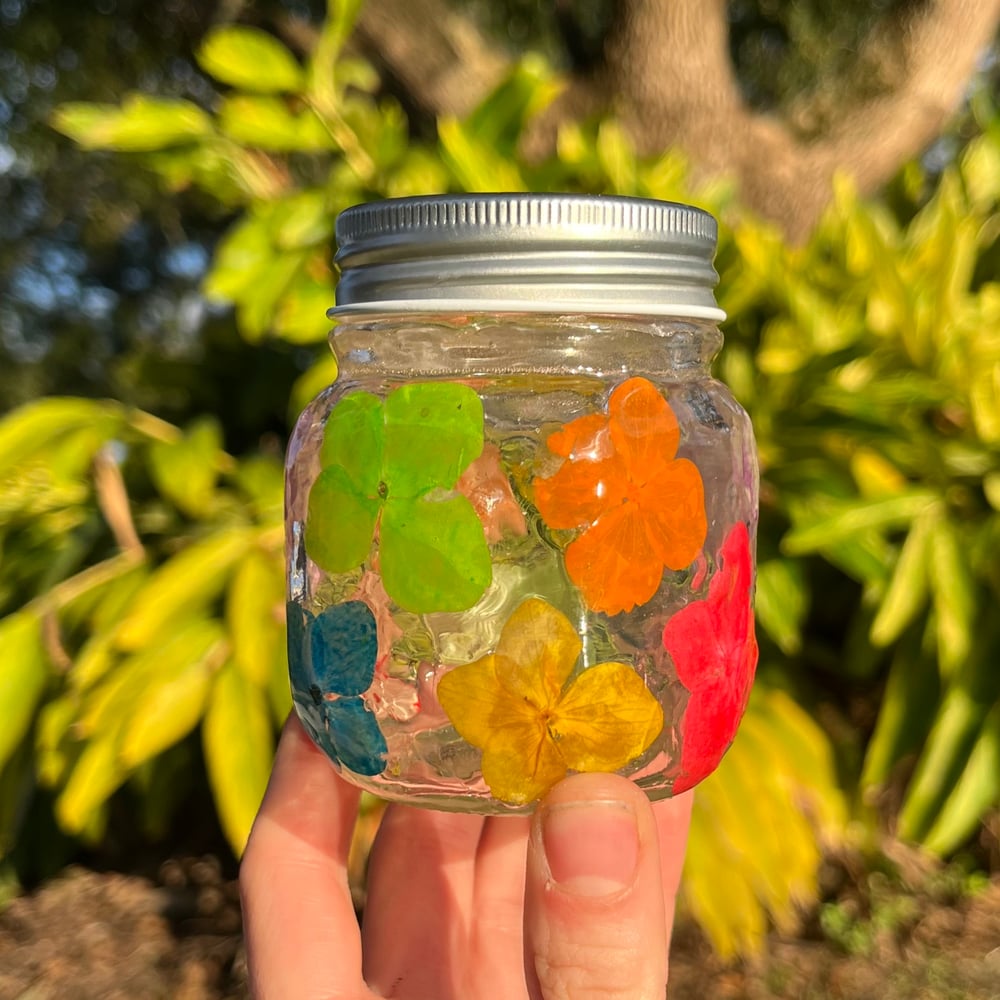 Image of lil rainbow hydrangea jar