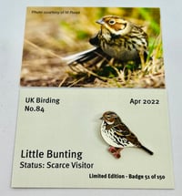 Image 1 of Little Bunting - No.84 UK Birding Pins - Enamel Pin Badge