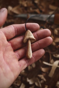 Image 2 of Oak Mushroom 