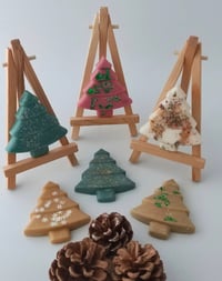 Christmas Trees 🎄