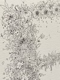 Image 5 of B Letter Ornate - Artwork 