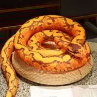 Image 6 of Snake Plush Doll