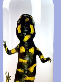 Image 3 of Borraccia TIGRINUM