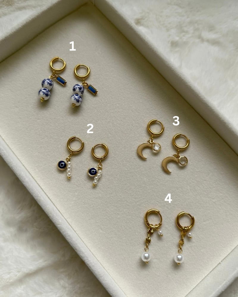 Image of Charm earrings
