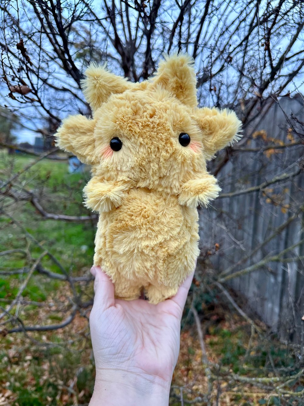 Image of Sun baby preorder