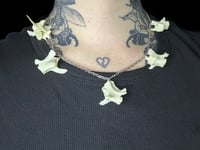 Image 3 of wild cat vertebrae necklace