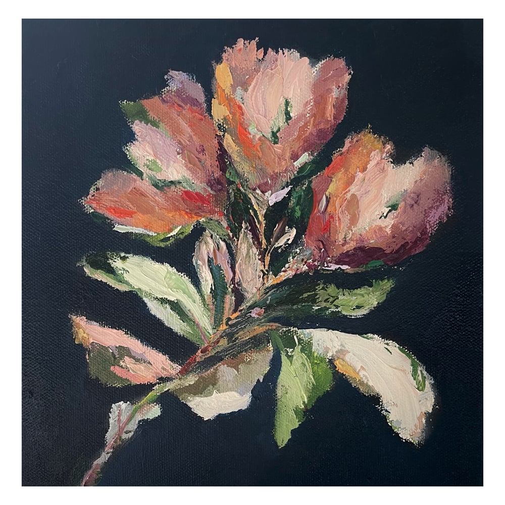 Image of ‘Botanique I I’ Oil on canvas