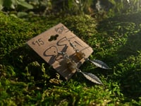 Image 1 of Labradorite Leaf Earrings