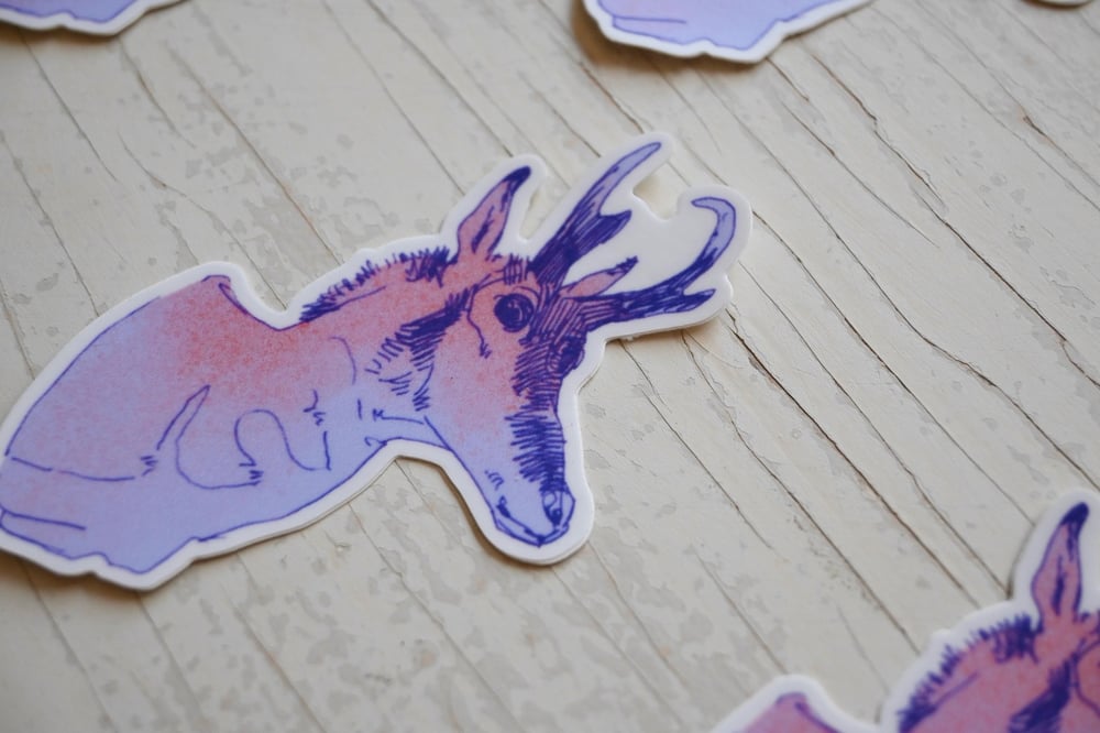 Pronghorn Antelope Sticker