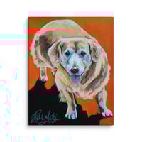 Image 4 of Old Lady Golden