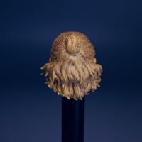 Image 4 of Brock (Scream) 2025