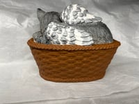 Image 7 of Custom Engraved Handpainted Sleeping Cat In Basket Urn