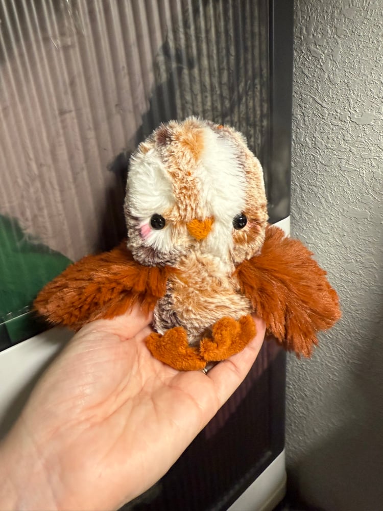 Image of burnt orange floofy chicken