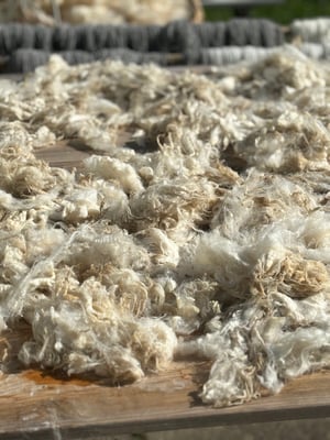 Image of ULD markedsdag, 12. december 2025