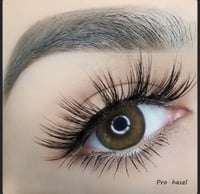 Image 1 of pro hazel 