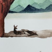 Image 3 of “Sombra”