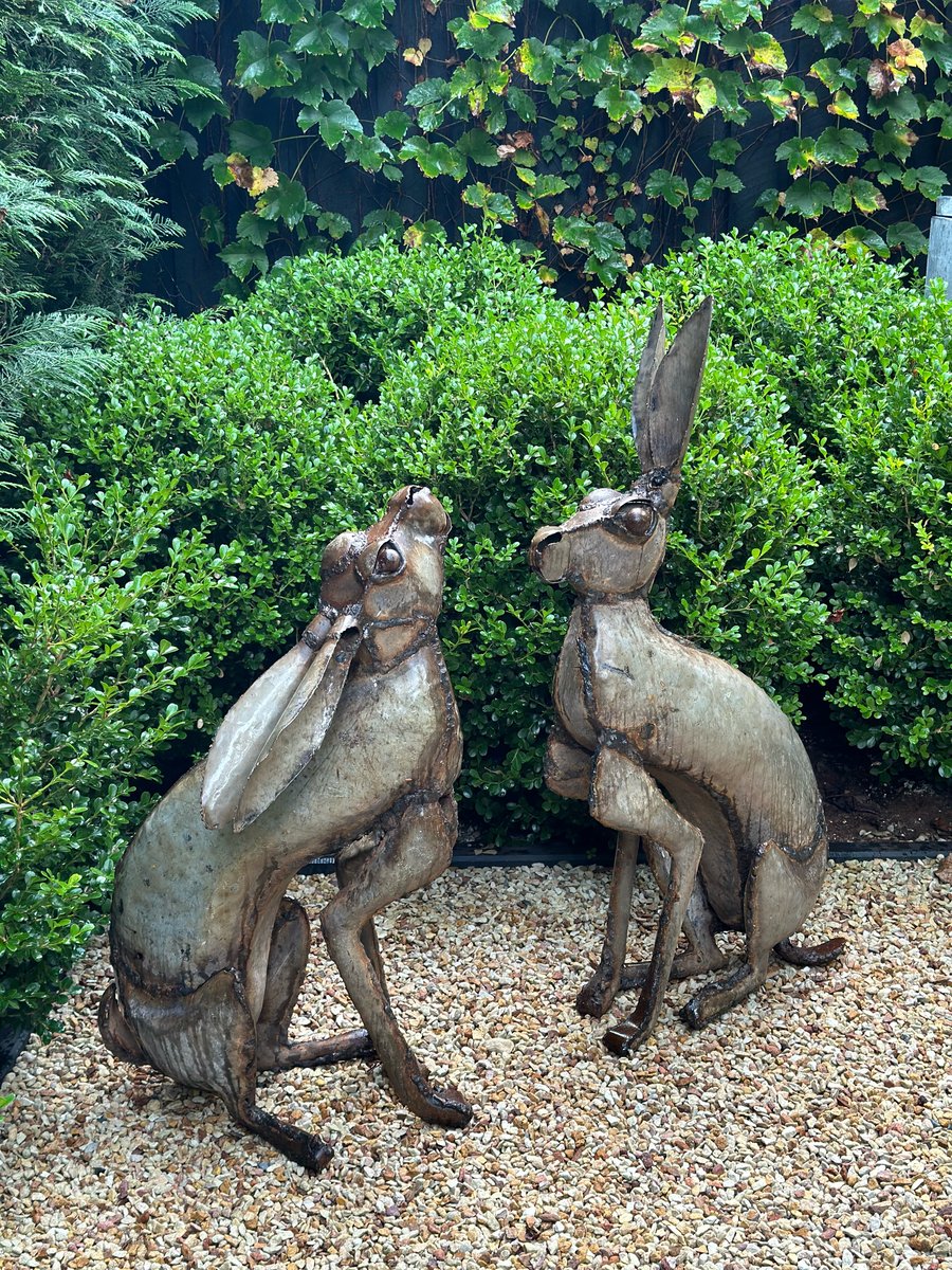 Image of Garden Hare Pair