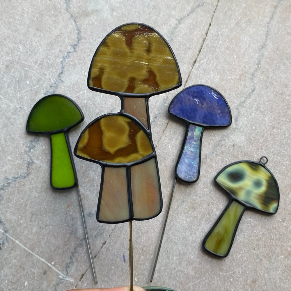 Image of Mushrooms
