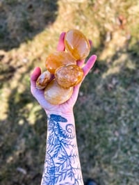 Image 3 of Golden Healer Palm Stone