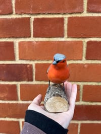 Image 2 of Chaffinch Ornament