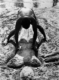 Image 7 of Harry Lapow - Coney Island Beach People, 1978