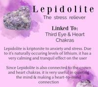 Image 3 of Lepidolite Tumbled Stone