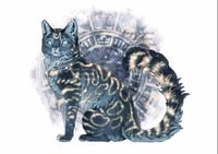 Print - Moon cat