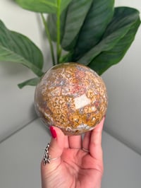Image 1 of RAINBOW SEA JASPER SPHERE -MADAGASCAR- 