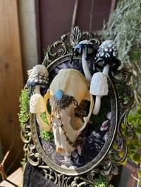 Image 2 of skull frame LED