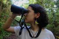 Image 4 of Birds of Puerto Rico • Acrylic Earrings • San Pedrito Earrings • Bananaquit Earrings 