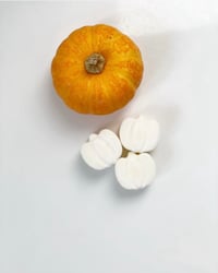 Image 3 of Pumpkin Shaped Soy Wax Melts - 50g