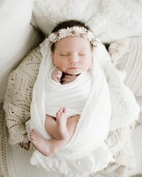 Image 5 of Newborn/Sitter Halo 312