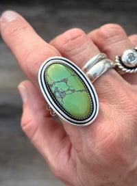 Image 1 of Large Hubei Turquoise Ring 