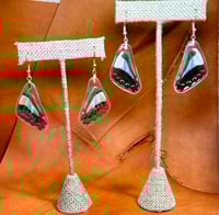 Image 1 of Blue Triangle Hindwings