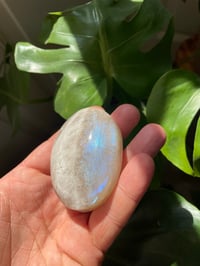 Image 4 of Moonstone Palm Crystal (8)