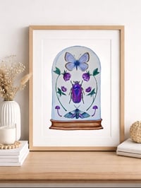 Image 1 of February Dome, Under Glass Collection