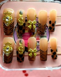 Image 8 of Acrylic Press ons standard  Medium 