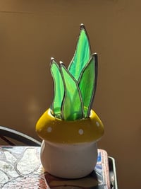 Image 2 of Spike plant with mushroom pot 