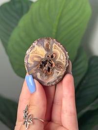 FUNKY LAGUNA AGATE DONUT