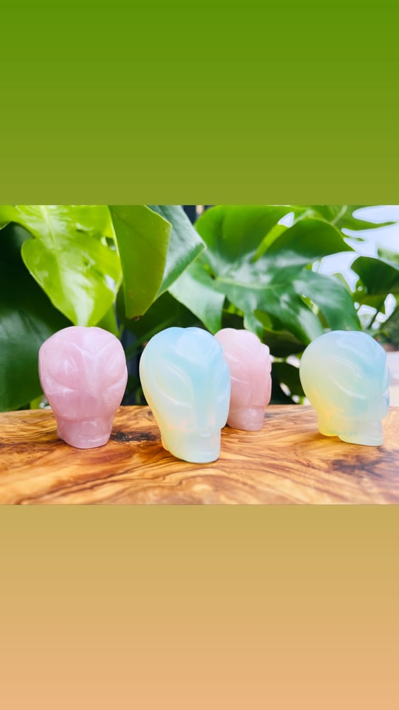 Image of Free standing Alien