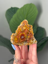 Image 1 of SELF STANDING YELLOW AND RED LAGUNA AGATE