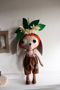 Image 21 of Clementine Blossom Kitty 