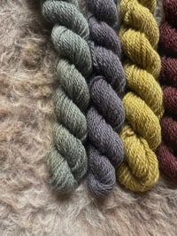 Image 4 of Mini Bundle #1 - 100G Hand Dyed Kent Romney Mini Skeins 