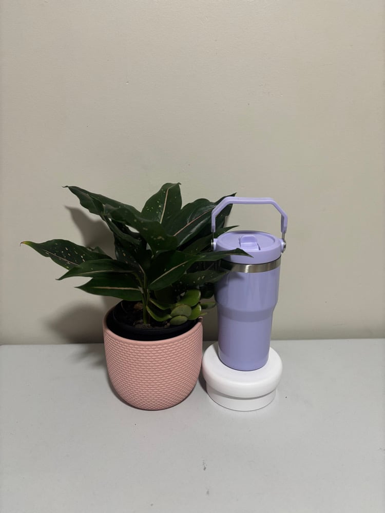 Gloss Drink Bottle (20oz)